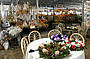 The Western Wildflower Farm