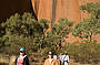 Overnight Dingo Dreaming Safari from Uluru