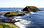 Two Day Great Ocean Road & Phillip Island Wildlife Adventure with Koala Photo