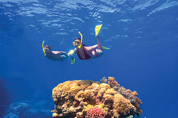 2 Day Reef & Rainforest Package