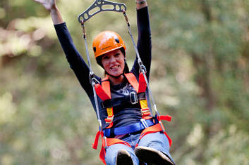 ZipLining Otway and Twelve Apostles Adventure