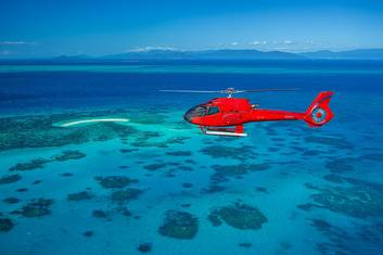 Half Day - Heli both ways to Reef Cruise