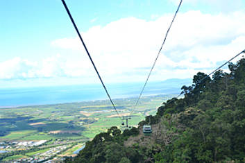 Return Skyrail Experience